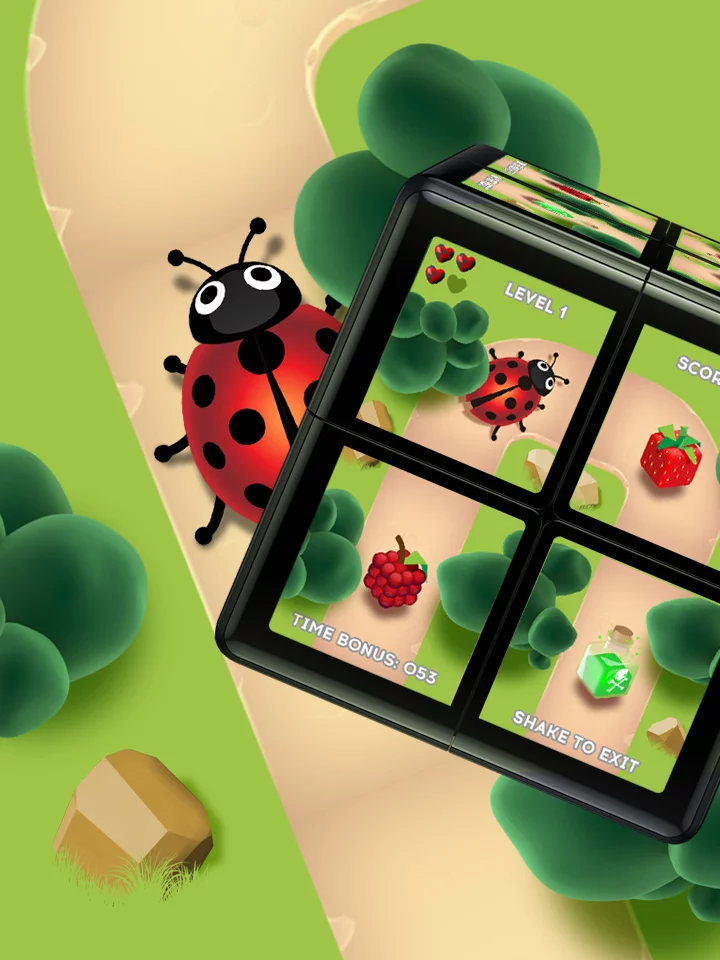 Ladybug