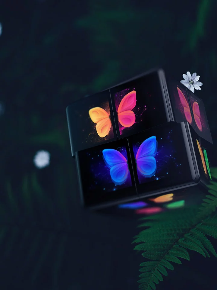 Butterflies Puzzle